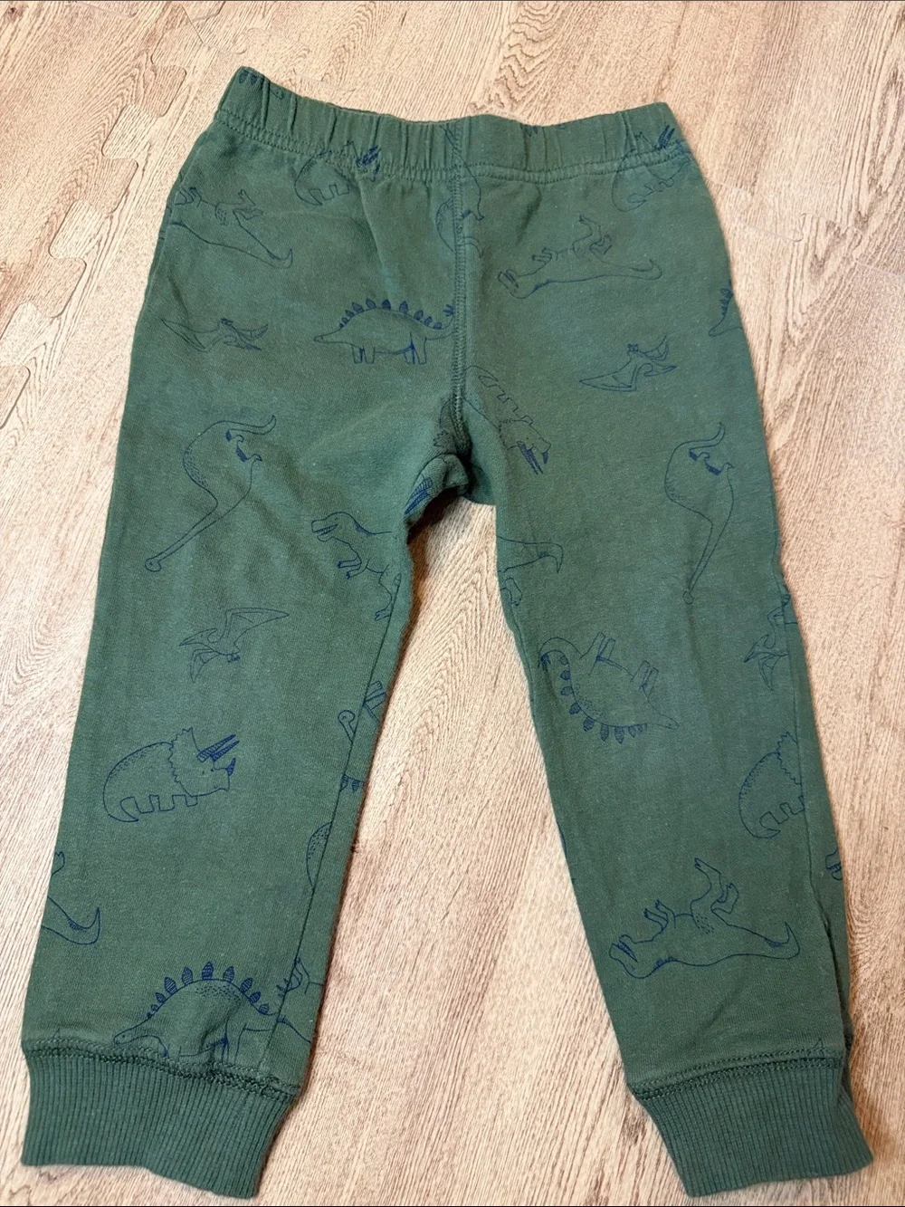Carter’s Green Dinosaur Print Pants